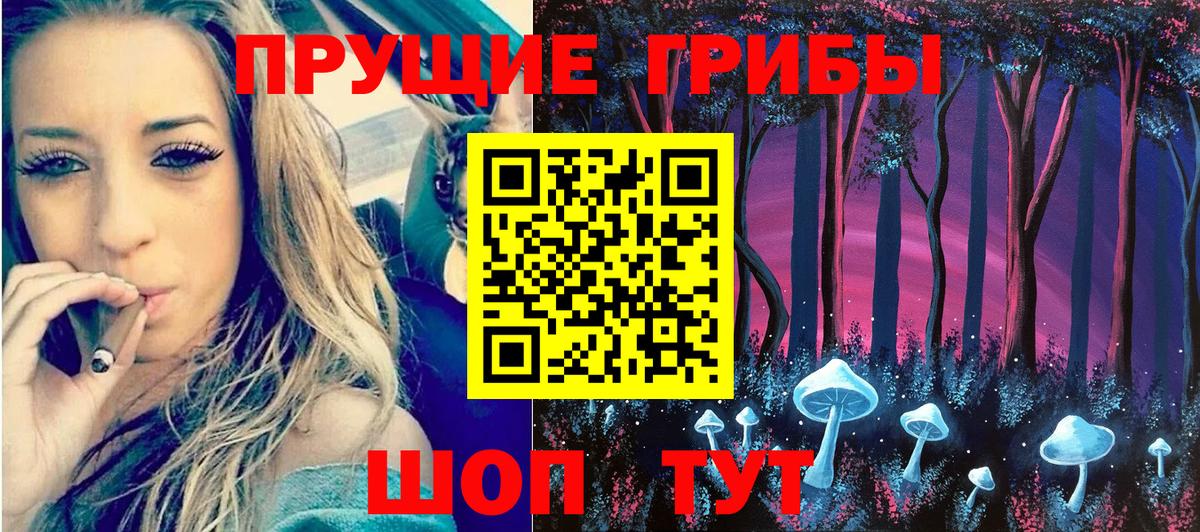 Псилоцибиновые грибы Cubensis Туймазы