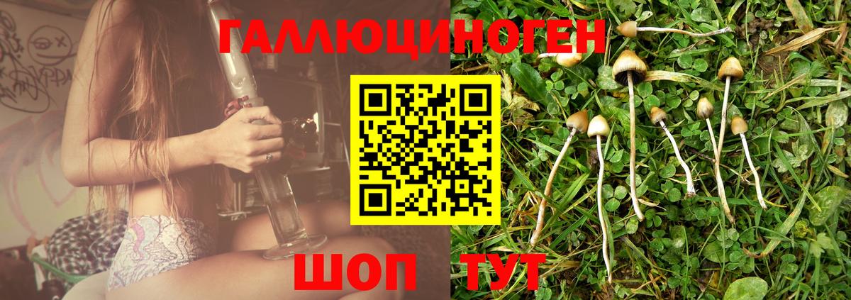 Галлюциногенные грибы GOLDEN TEACHER  Вход с VPN  цена наркотик  Туймазы 